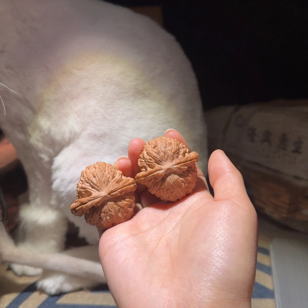 核桃把件莫*问41全品白狮子