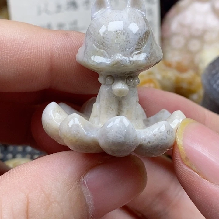 颈饰未镶嵌硅化珊瑚（珊瑚玉）