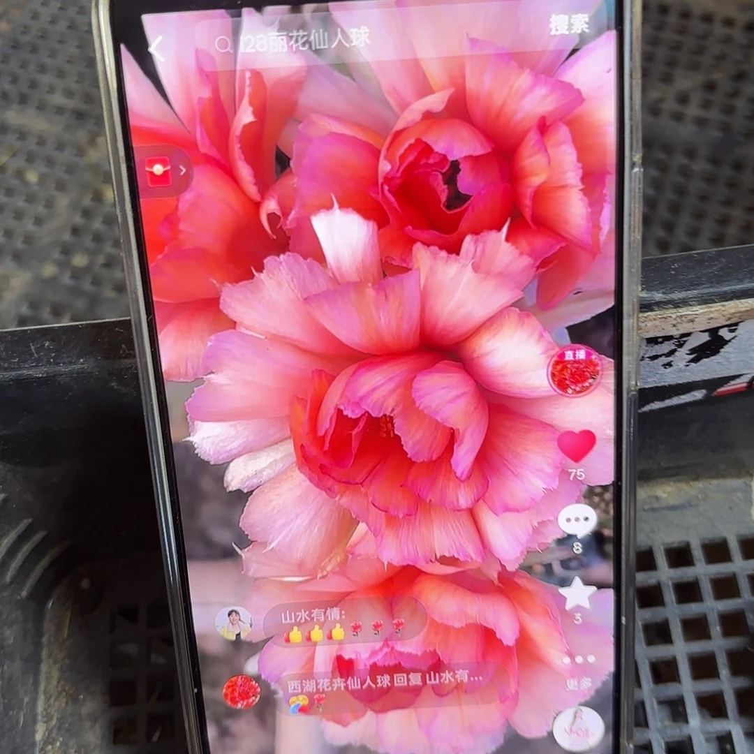 L28丽花3公分侧牙20包邮29