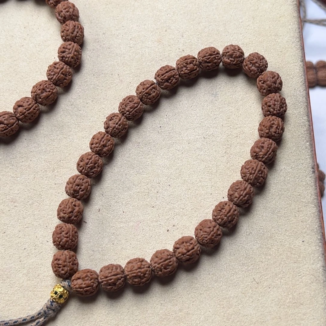 大***鹏金刚菩提吊坠一代盘龙