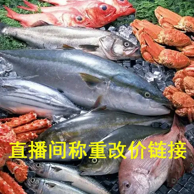 野生海鱼 直播间现场称重改价