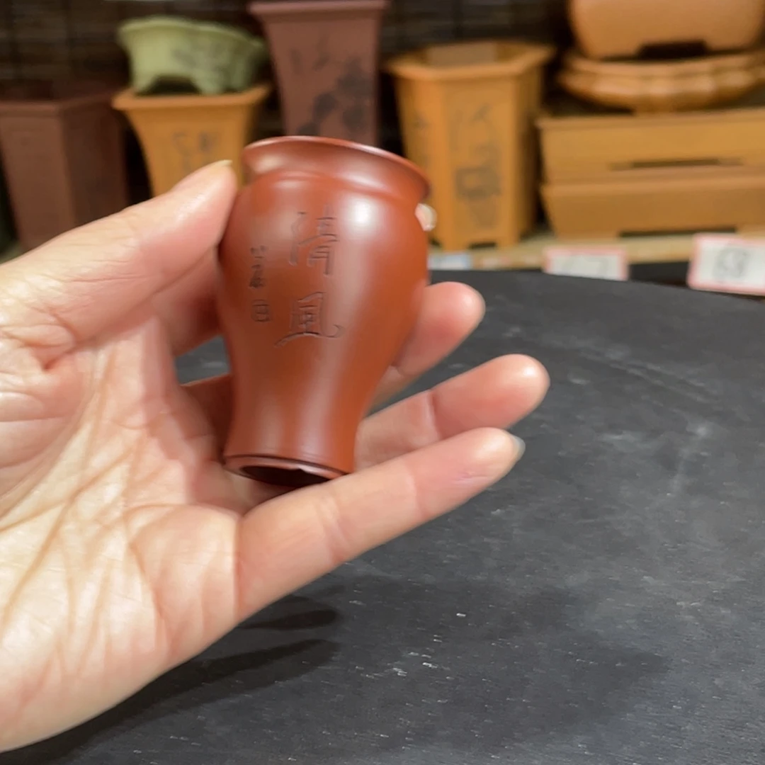 紫砂花盆在干嘛呀