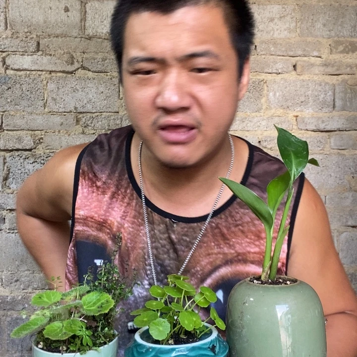 完全开放退款拉黑一物一拍64