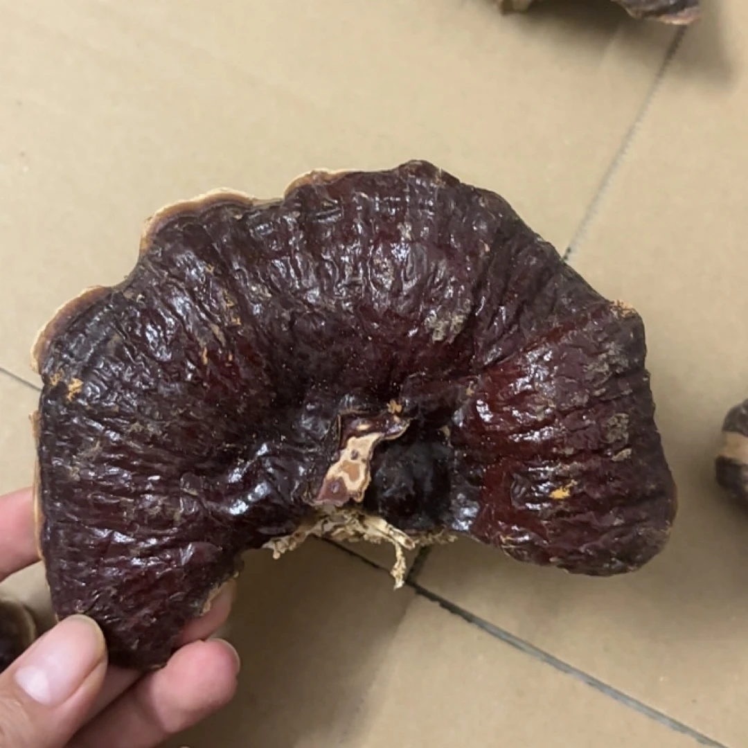 越南l芝买一送一，两包半斤的