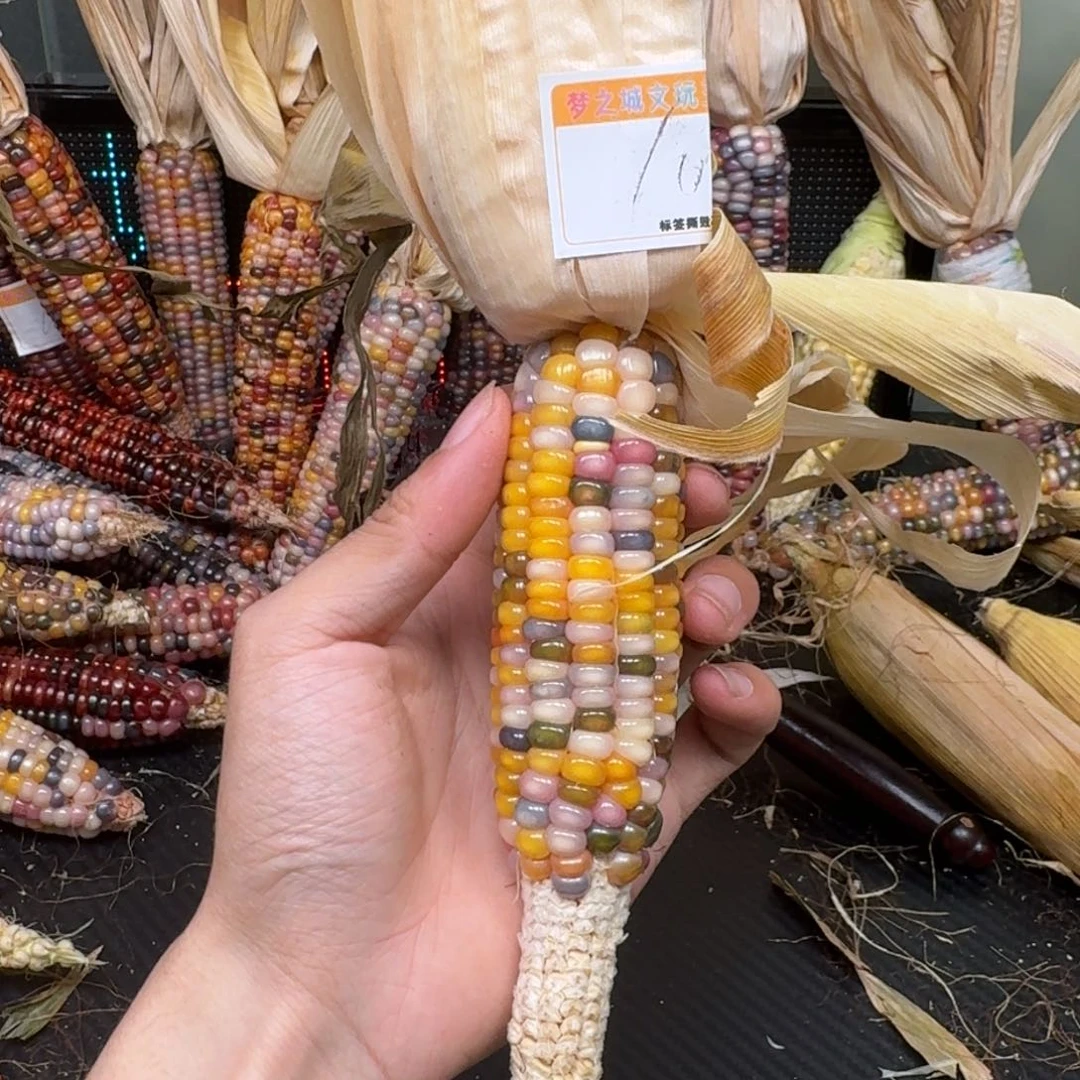 柏香籽/百香籽吊坠佩**姐