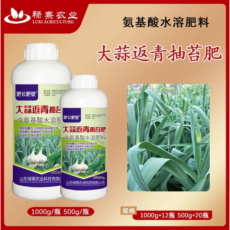 大蒜抽苔肥出苔齐蒜头大蒜苔粗专用增产早熟果树叶面肥