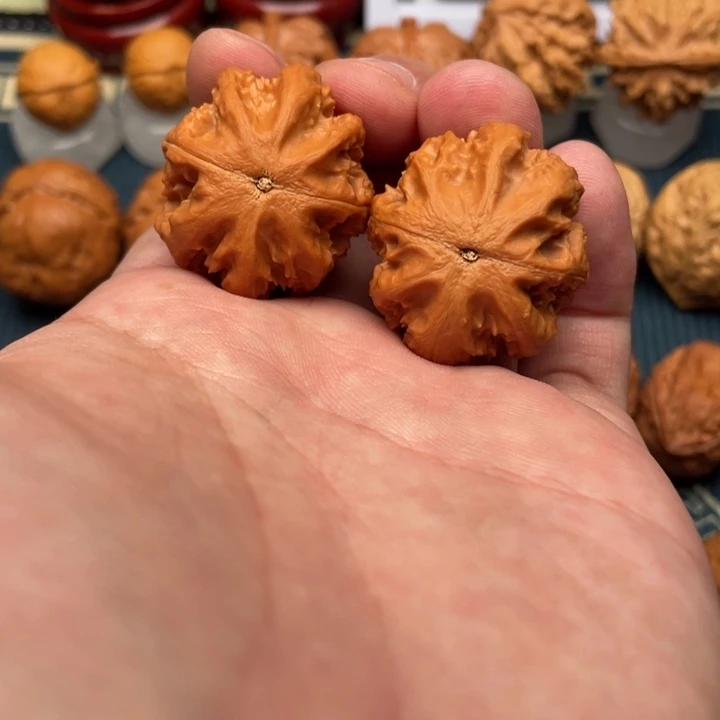 文玩核桃把件暴龙