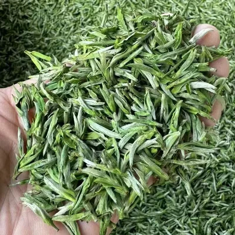 源头厂家  2025年新茶黄山土种毛峰绿茶 浓香耐泡 兰花香