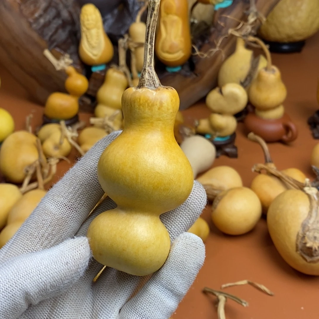 辉***哥哭了教练咯教练骨头路途