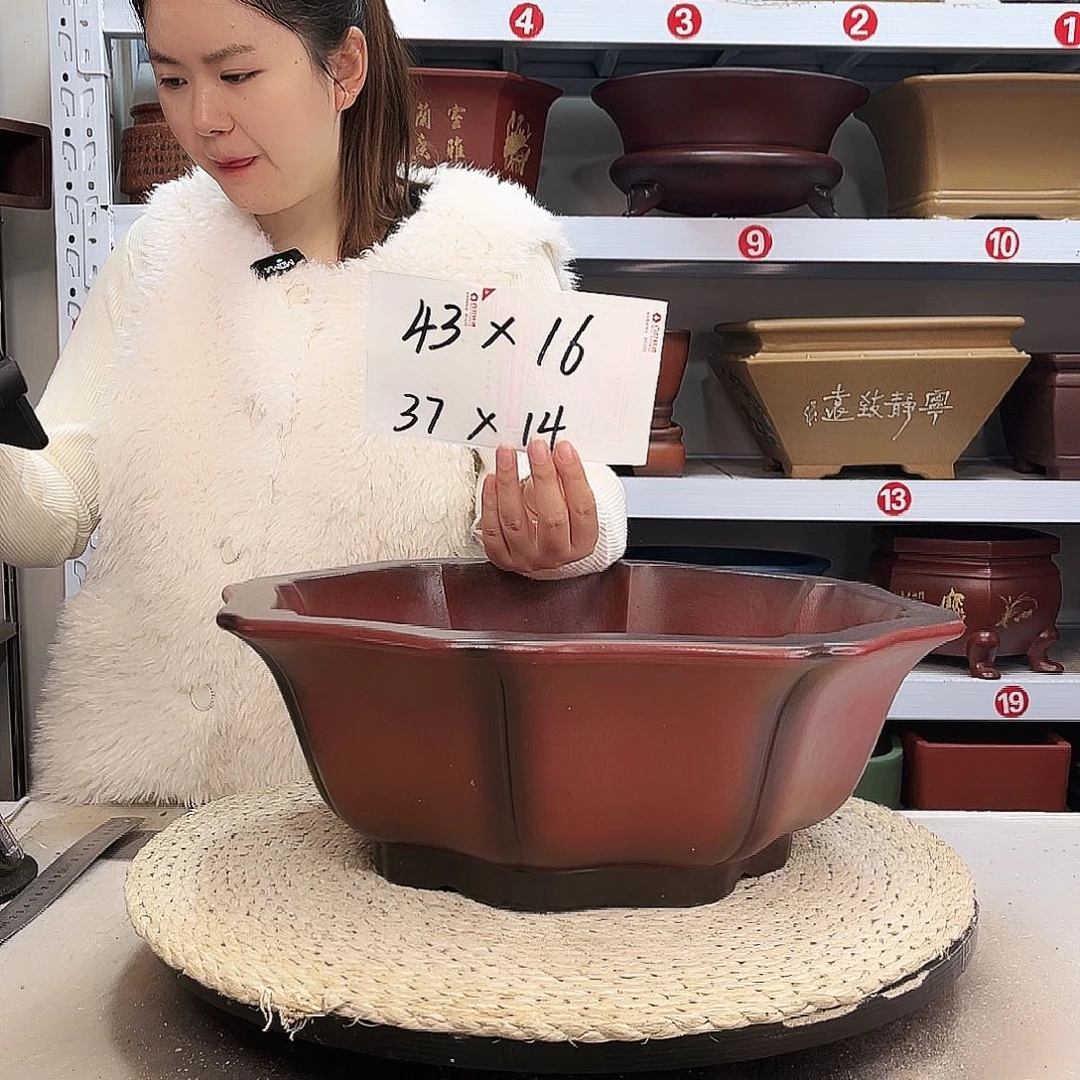 紫砂花盆紫砂花盆