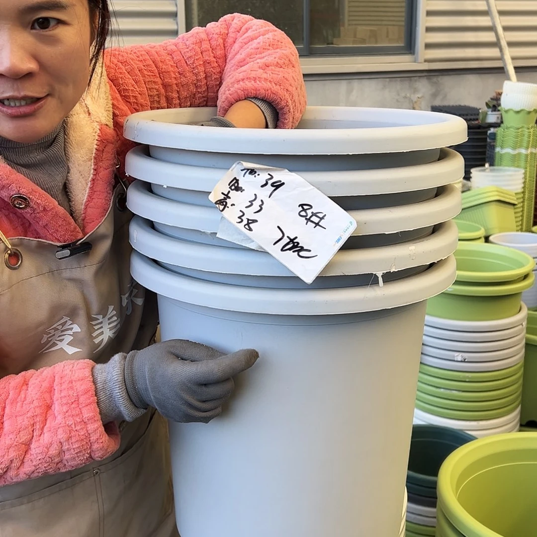 四季盆8#灰白色5个无托