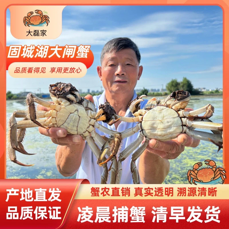 活蟹【固城湖大闸蟹】公蟹4.0两母蟹3.0两 8只装