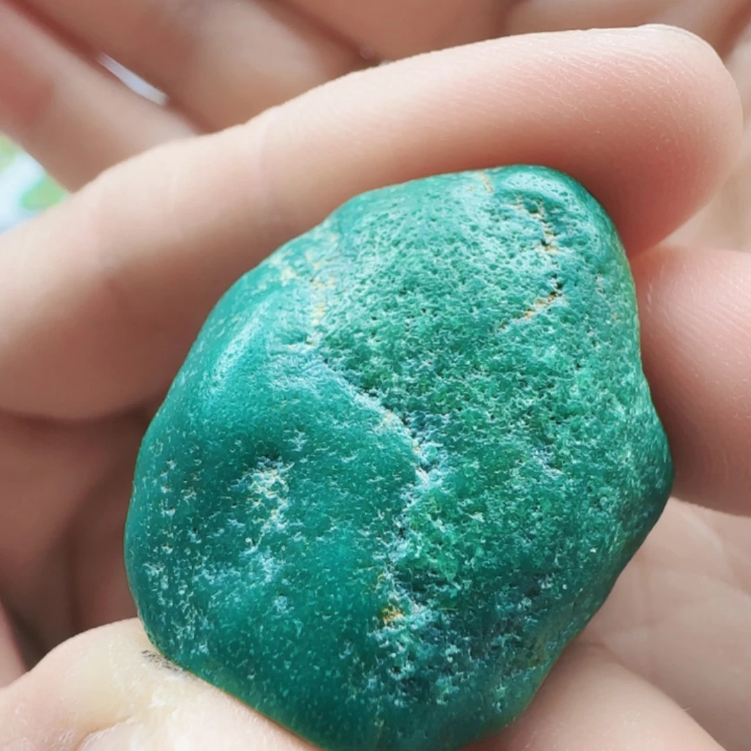 绿松石未镶嵌颈饰老油绿随行