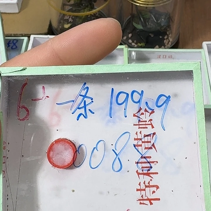 张***伟蟋蟀22222222222222