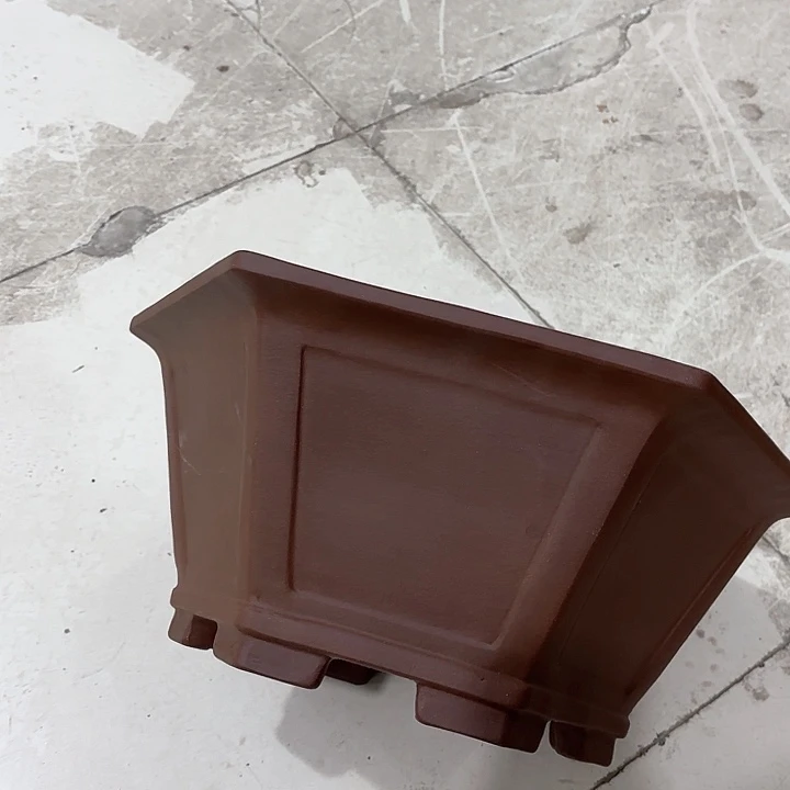 紫砂花盆紫砂的花也太漂亮