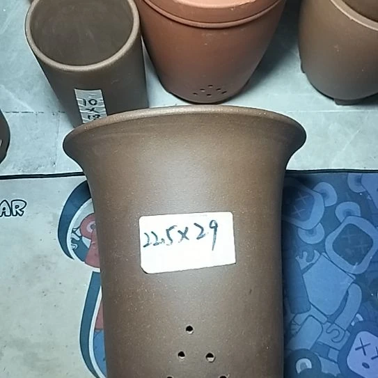 莲花金钟一个花盆