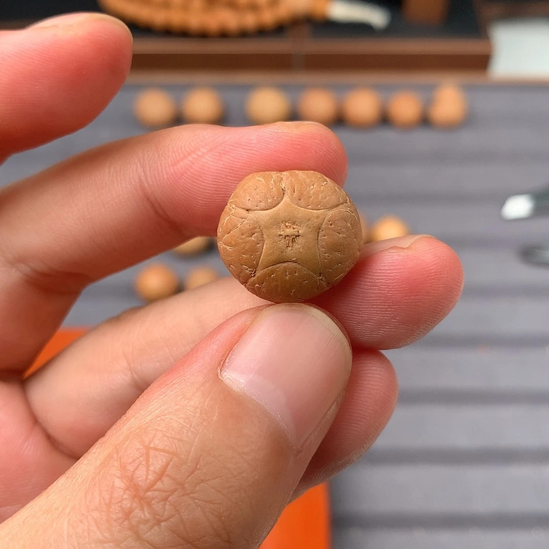 手串凤眼菩提18+五星，非质量问题开孔不退