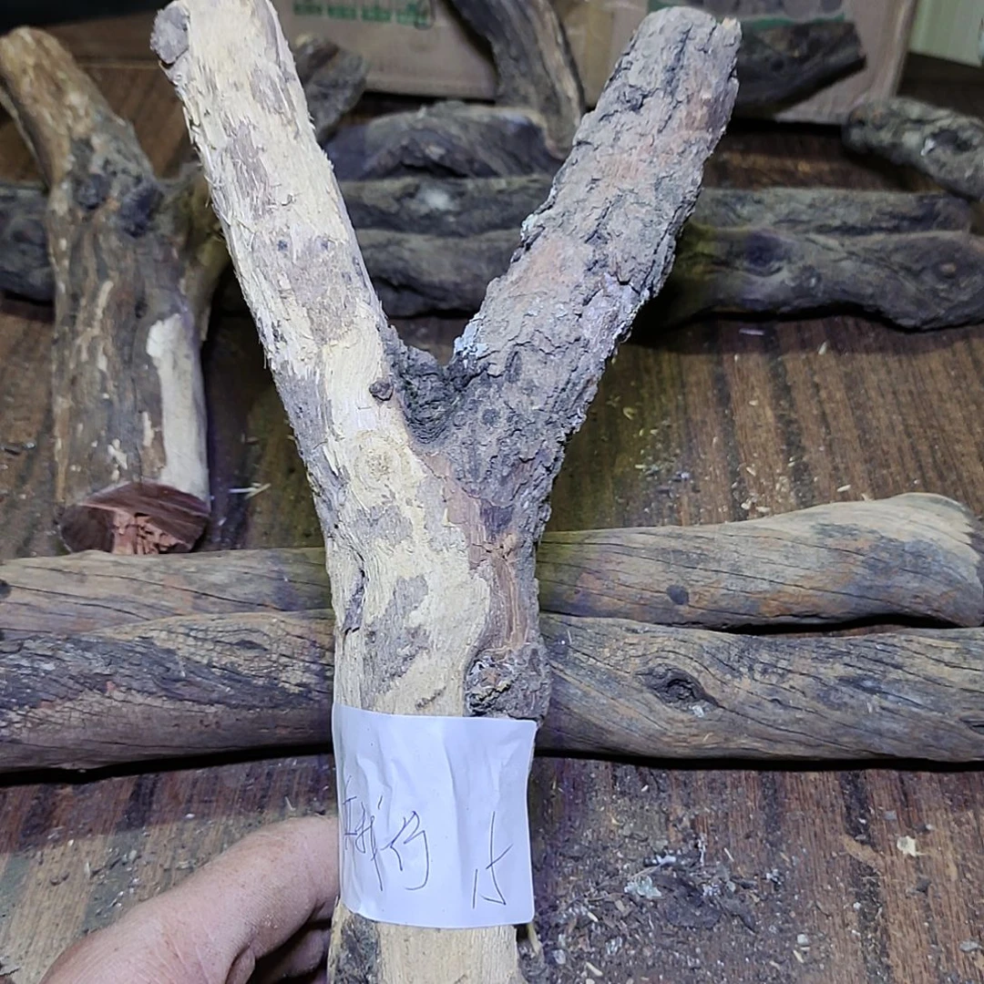 真****火琉璃原杈，不保沉水慎拍！