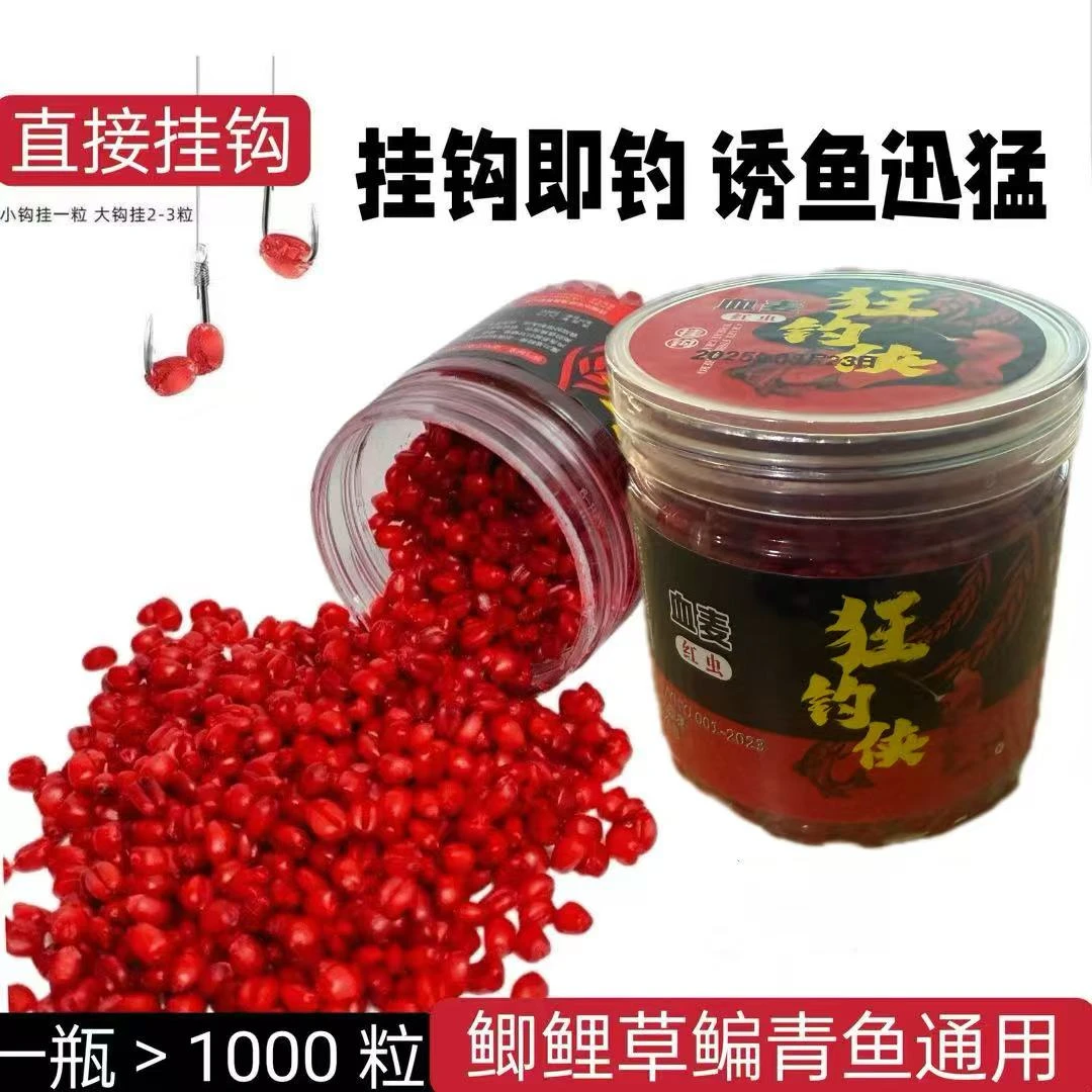 钓鱼谷麦粒诱食血麦粒野钓鲫鱼鲤鱼草鱼鳊鱼麦子饵料