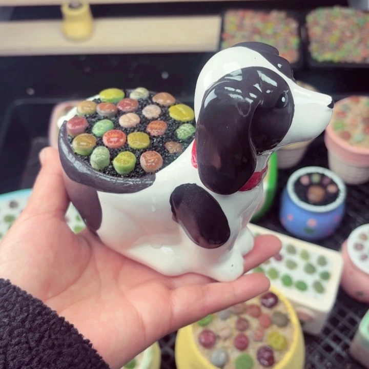 675零下地区记得拍保温箱满18包邮