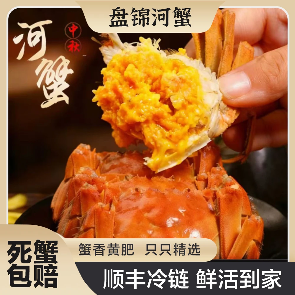 【活蟹】盘锦河蟹 1~1.3两/只 全母 到手2/3斤 鲜活发货 【N】