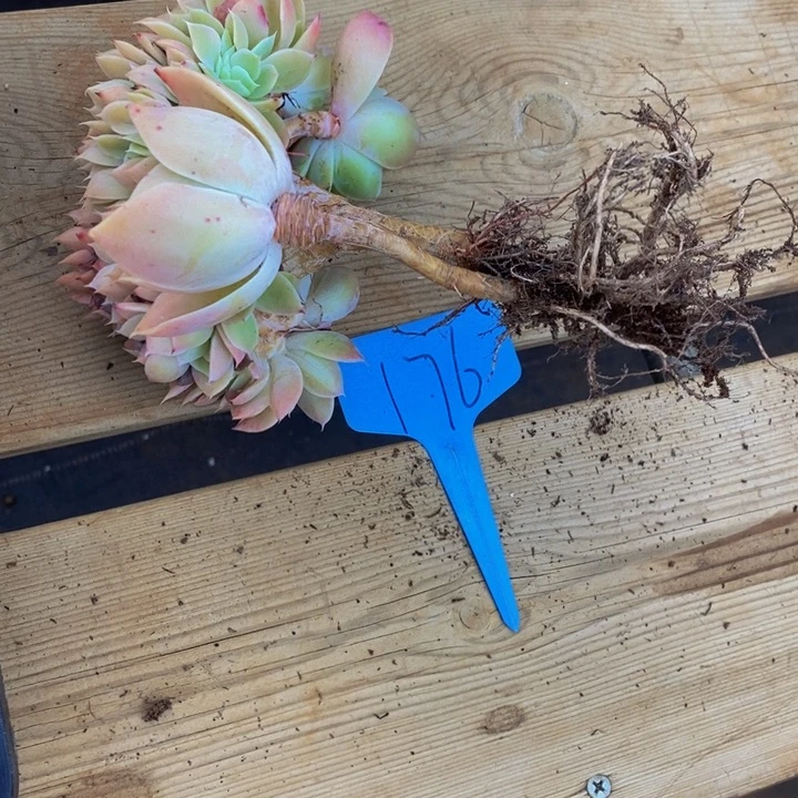 我也很开心很满足地