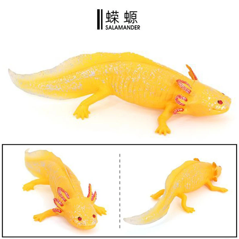 六角蝾螈玩具六角龙可爱两栖爬行动物钝口螈模型小孩认知实心硬胶