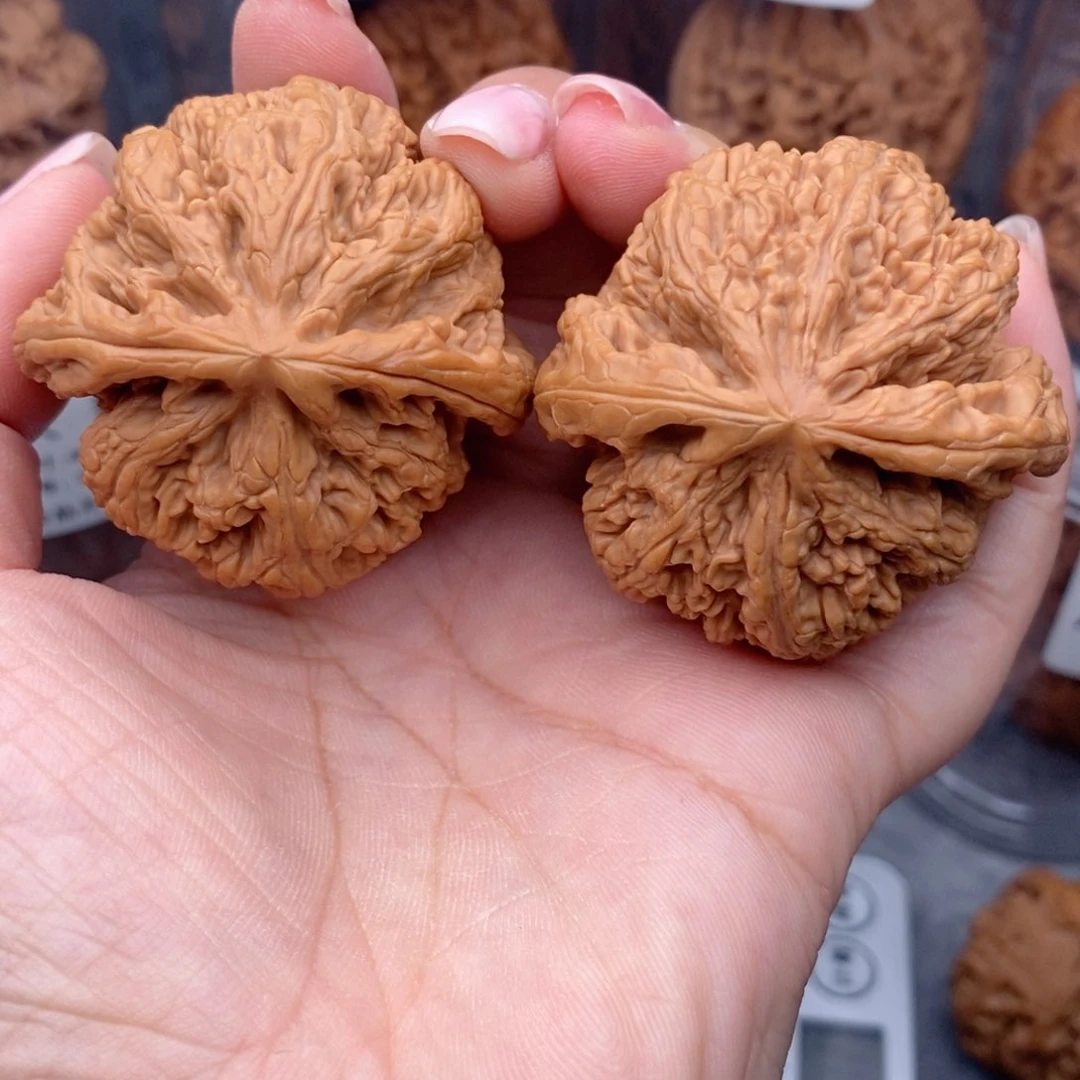 核桃把件粗筋46修