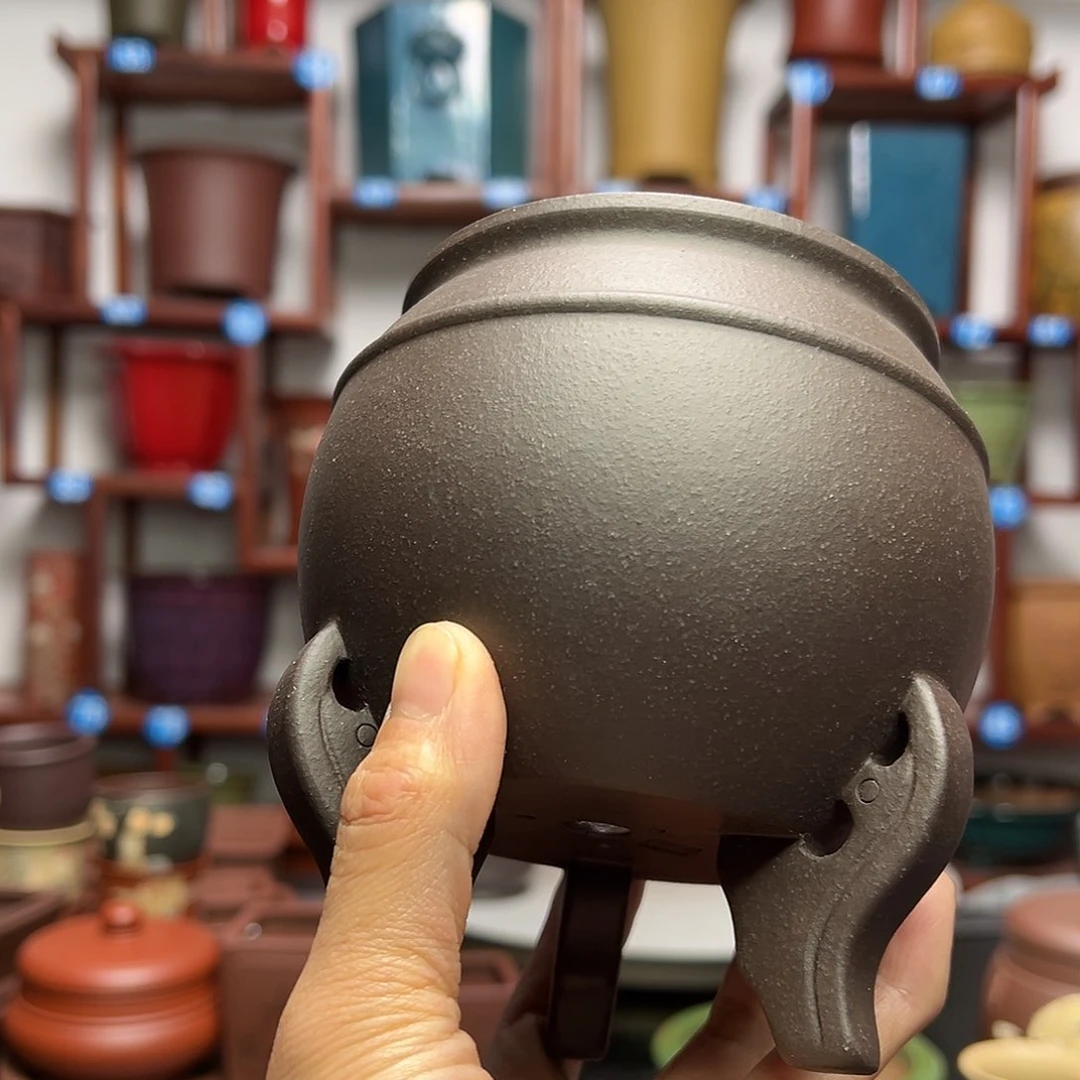 紫砂花盆四*豆紫砂花盆