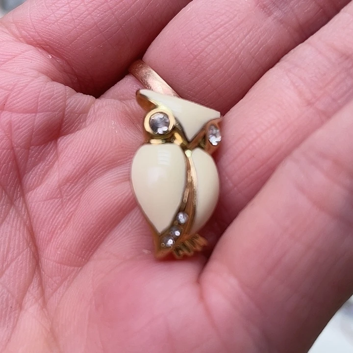 碟维多利亚欧洲中古