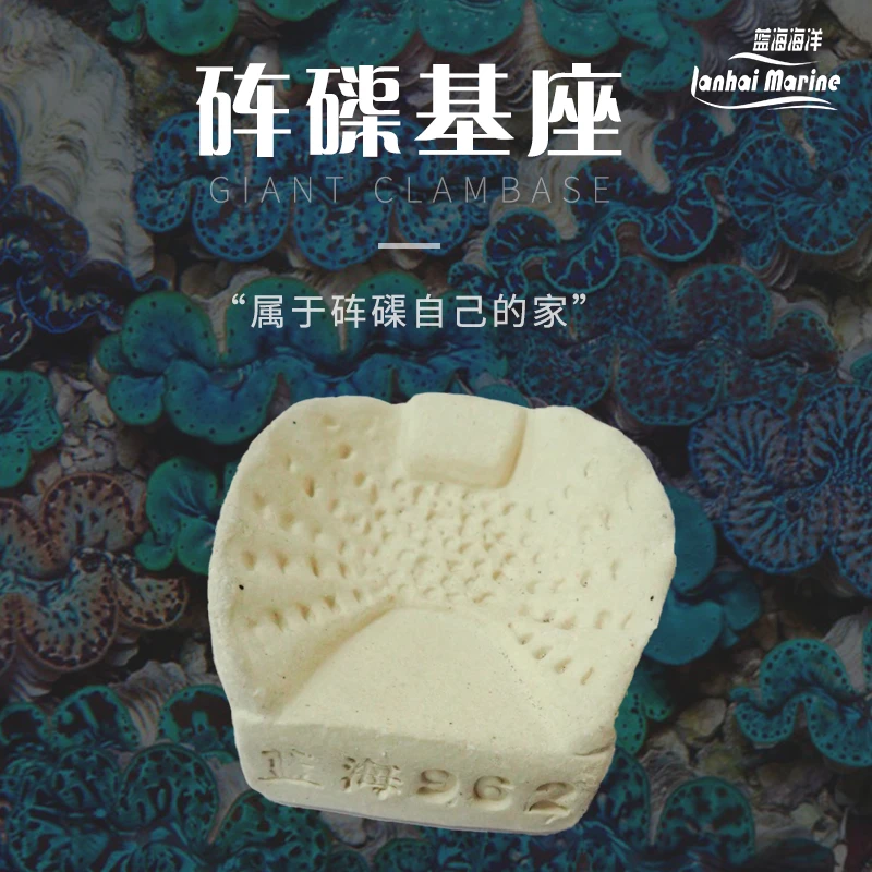 海洋装饰基座 绿色系 海水装饰品