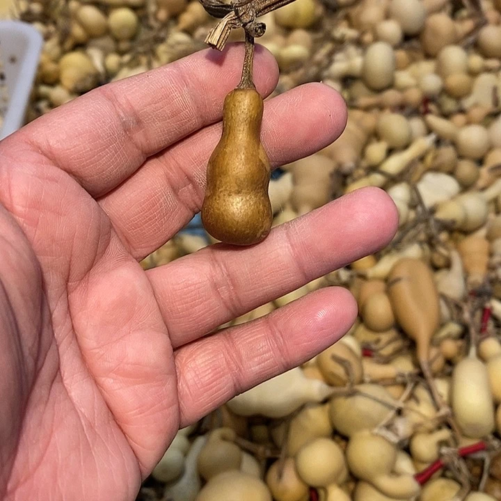 呵***啊精品葫芦手把葫芦43