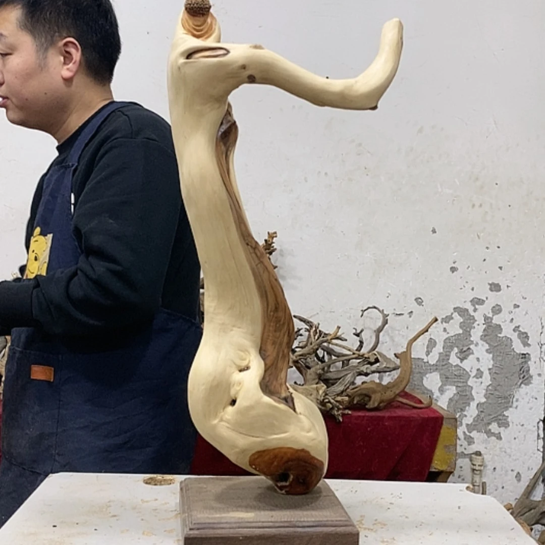 【闪购商品】柏木达**师我们都是好孩子