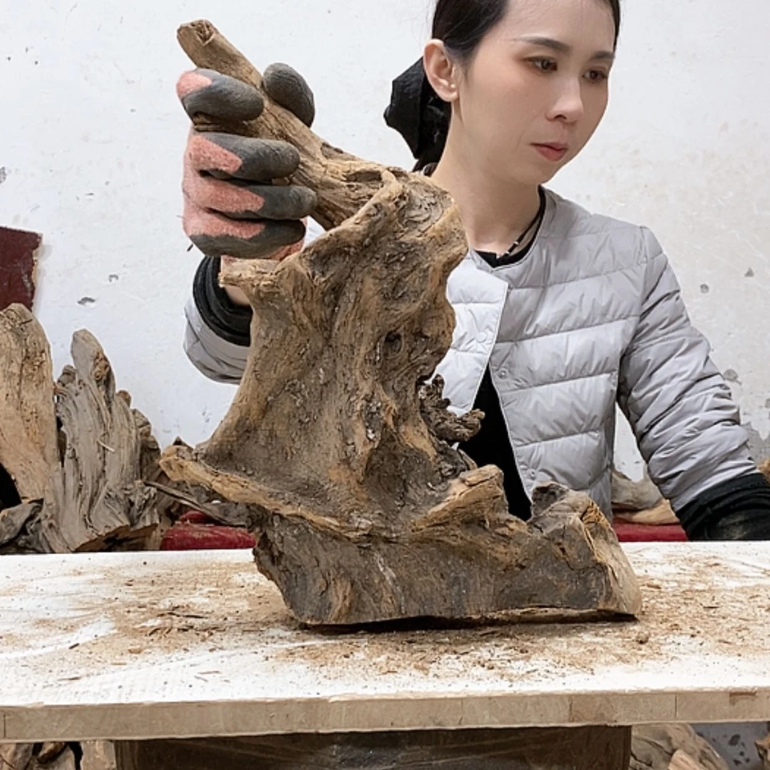 【闪购商品】柏木S****歌我们都是好孩子