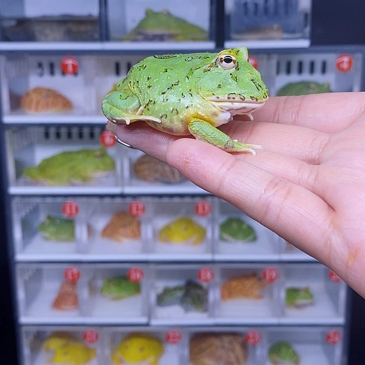 特价活动开始哇哇