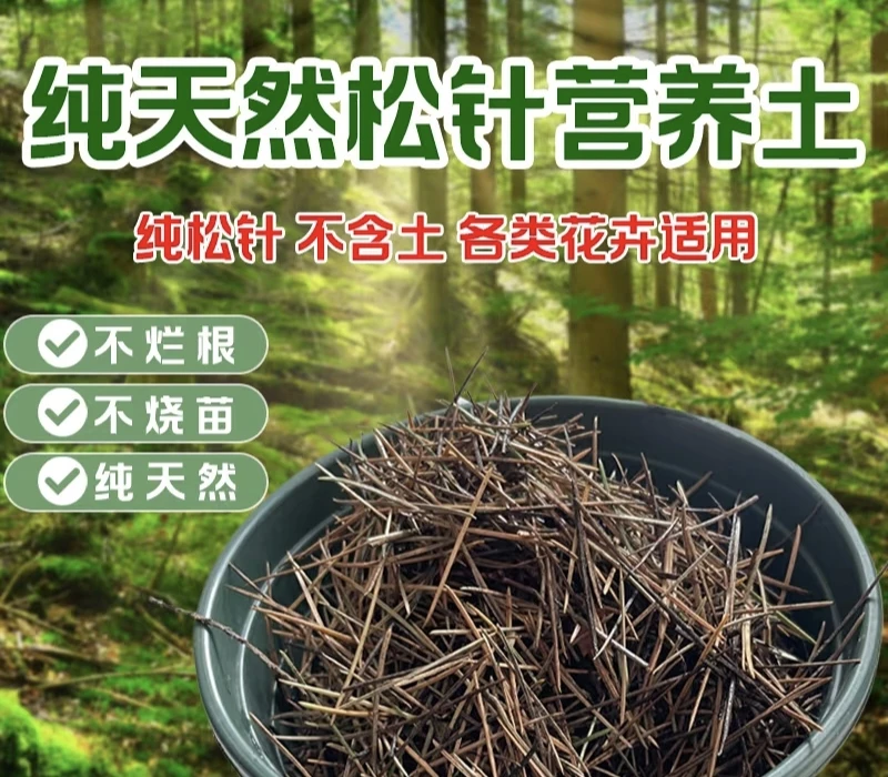 纯松针发酵无沙无土营养土适用于三角梅蓝莓君子兰等花卉