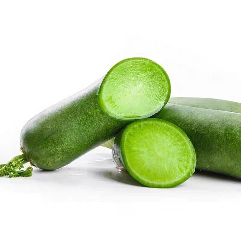 河南青萝卜清脆爽口多汁营养丰富脆甜青萝卜产地直发