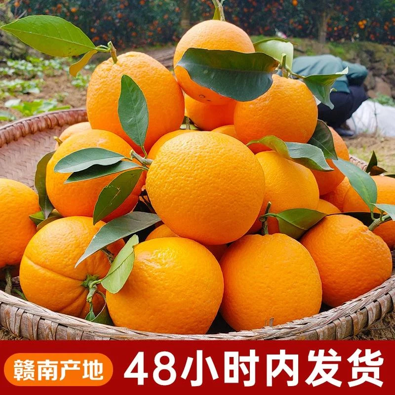 正宗江西赣南脐橙10斤新鲜当季水果整箱赣州产地直发手剥橙子甜橙