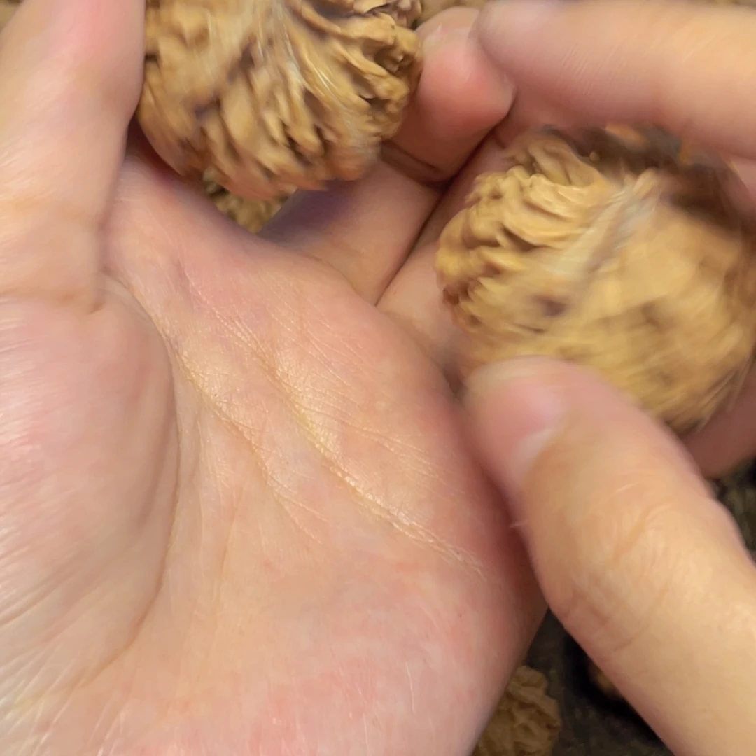 桃核把件33秦岭灯笼野生小众