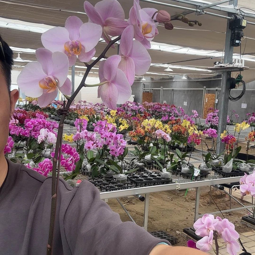 完全开放萨利纳斯3.5