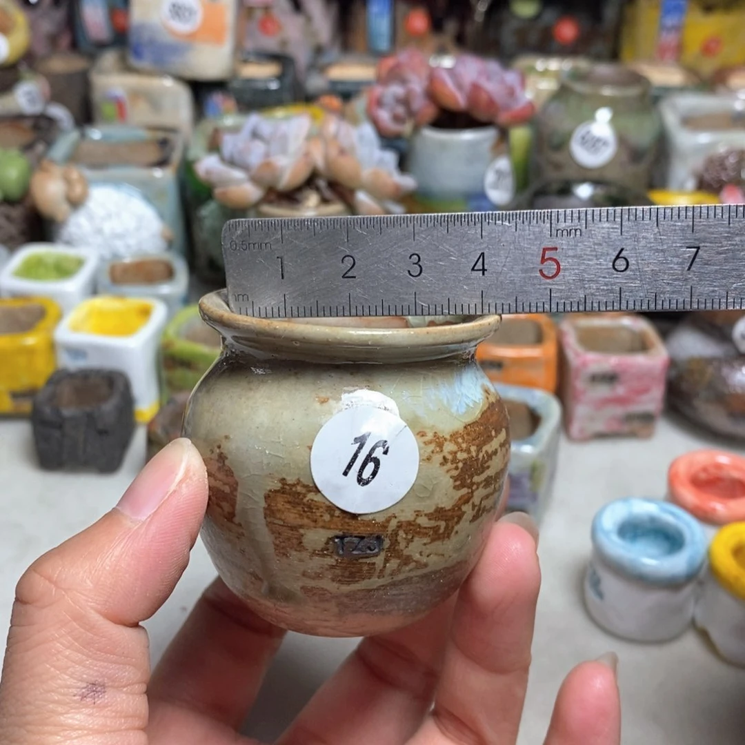 拍5送一个小礼物