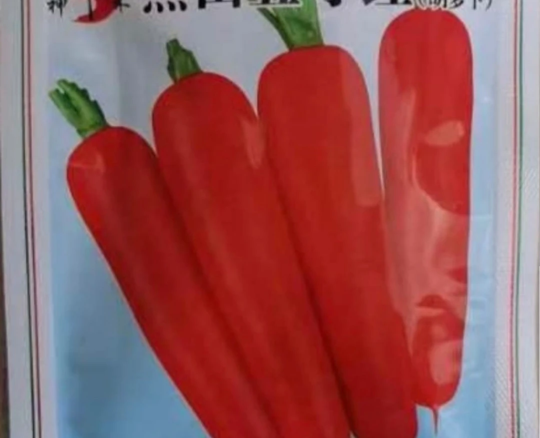 黑甜五寸红胡萝卜种子
