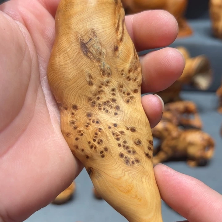 柏木（崖柏）点点关注，感谢分享