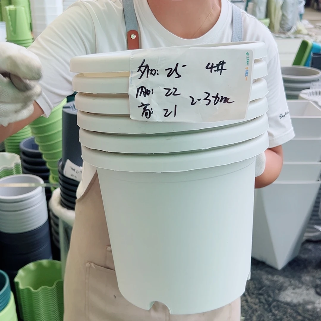 四季盆4#白色8个无托