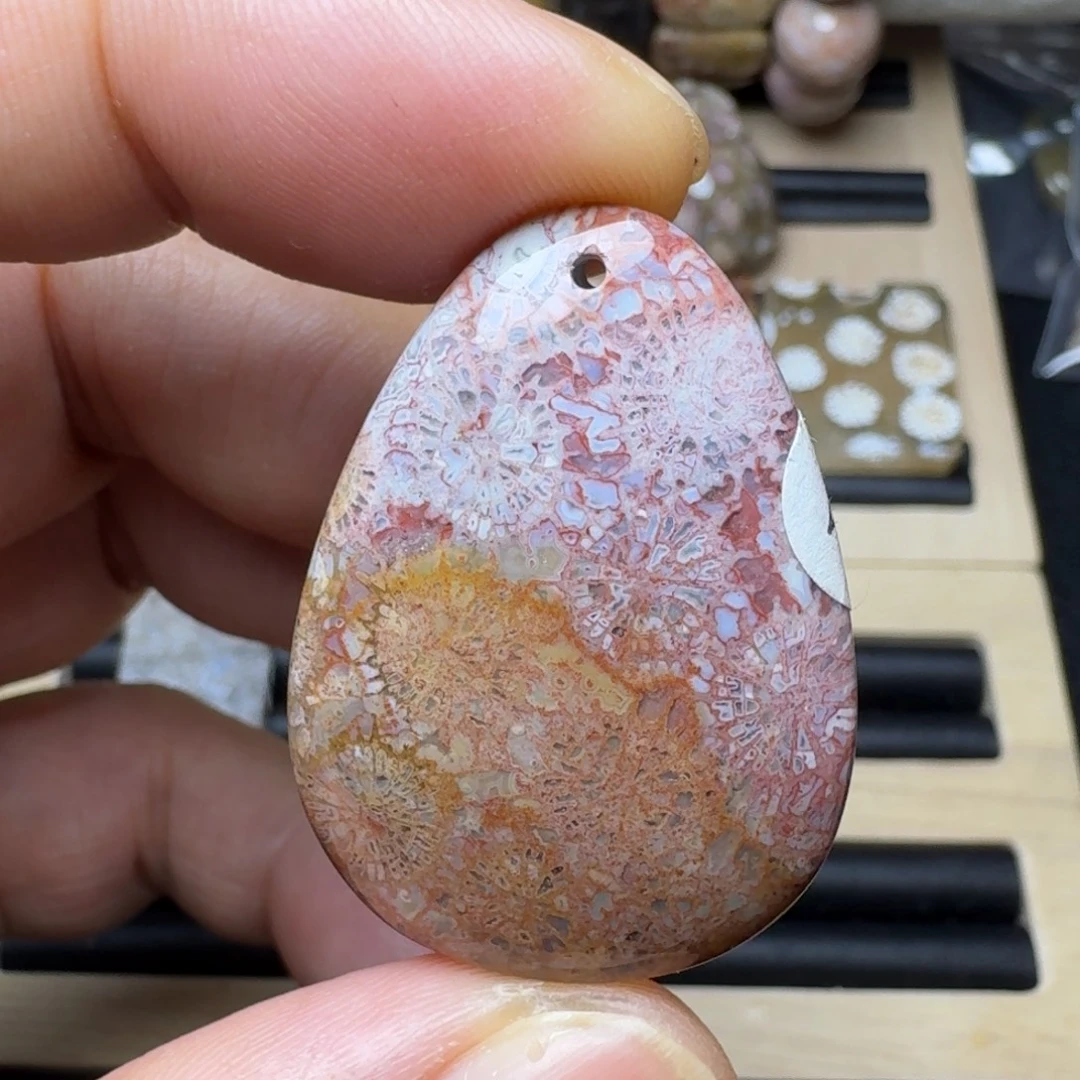 硅化珊瑚（珊瑚玉）未镶嵌纯天然色有机玉石保真色