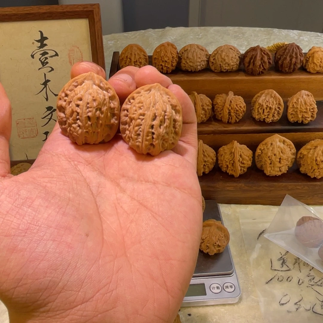A***室大叶紫檀（黑酸枝木类）