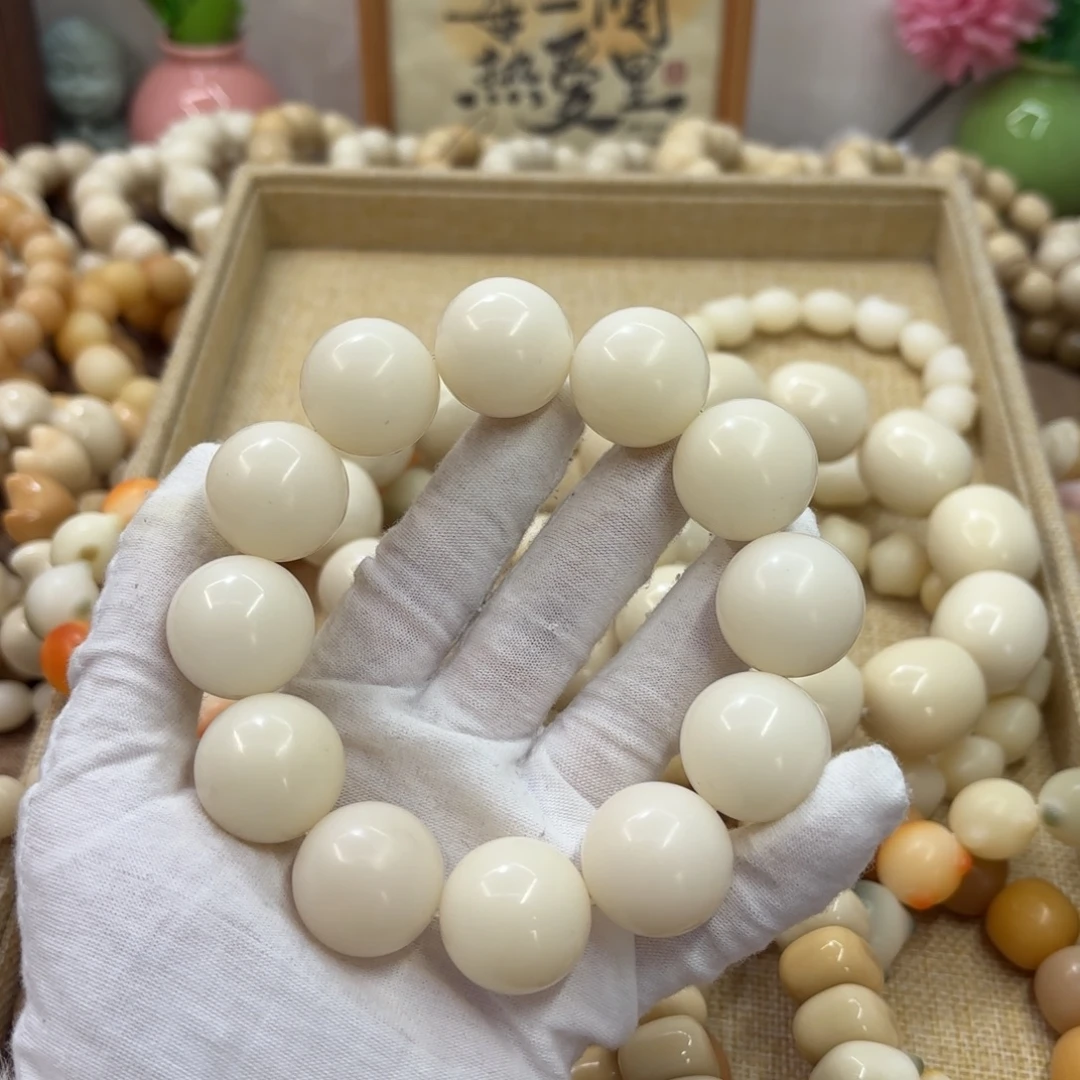 菩提根/象牙果吊坠23干磨瑕疵落地果圆珠388