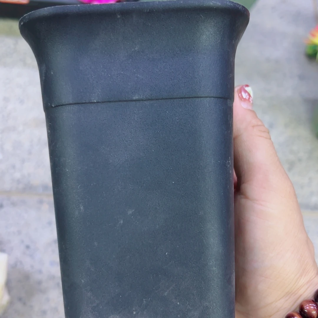 下45小黑万象5个口径10高14无托盘20包邮