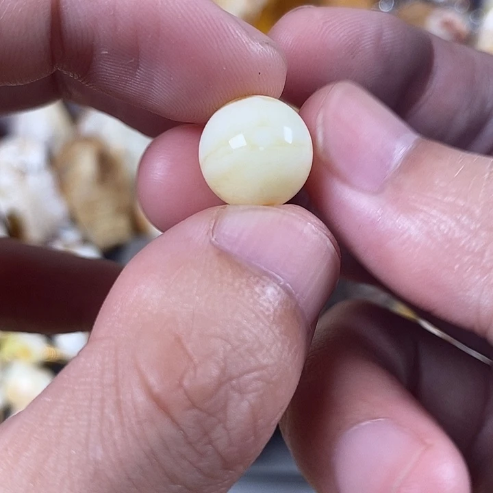 裸石琥珀未镶嵌我