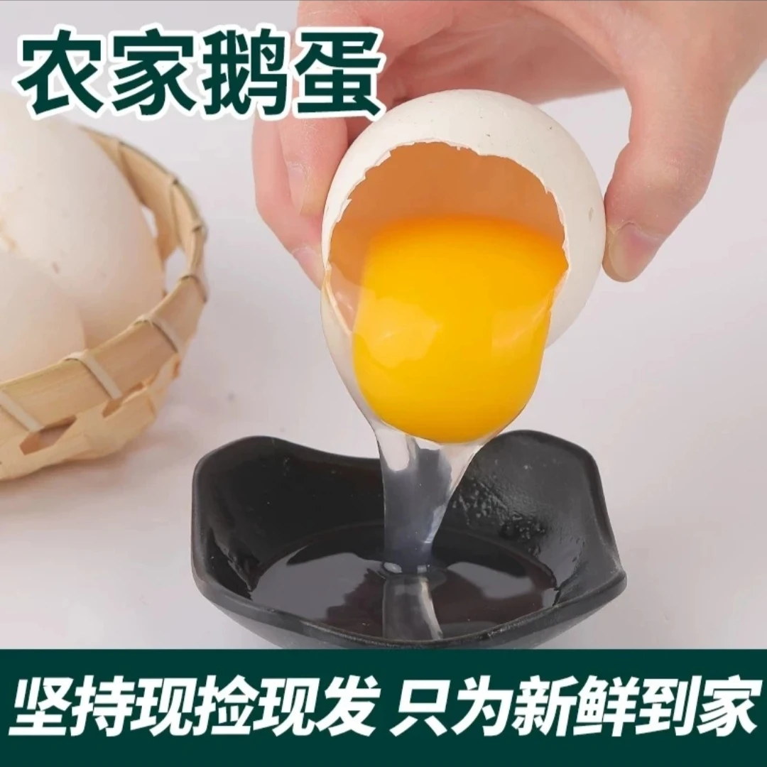【顺丰快递】20枚土鹅蛋 80-100g/枚 新鲜鹅蛋农家土货一箱发货